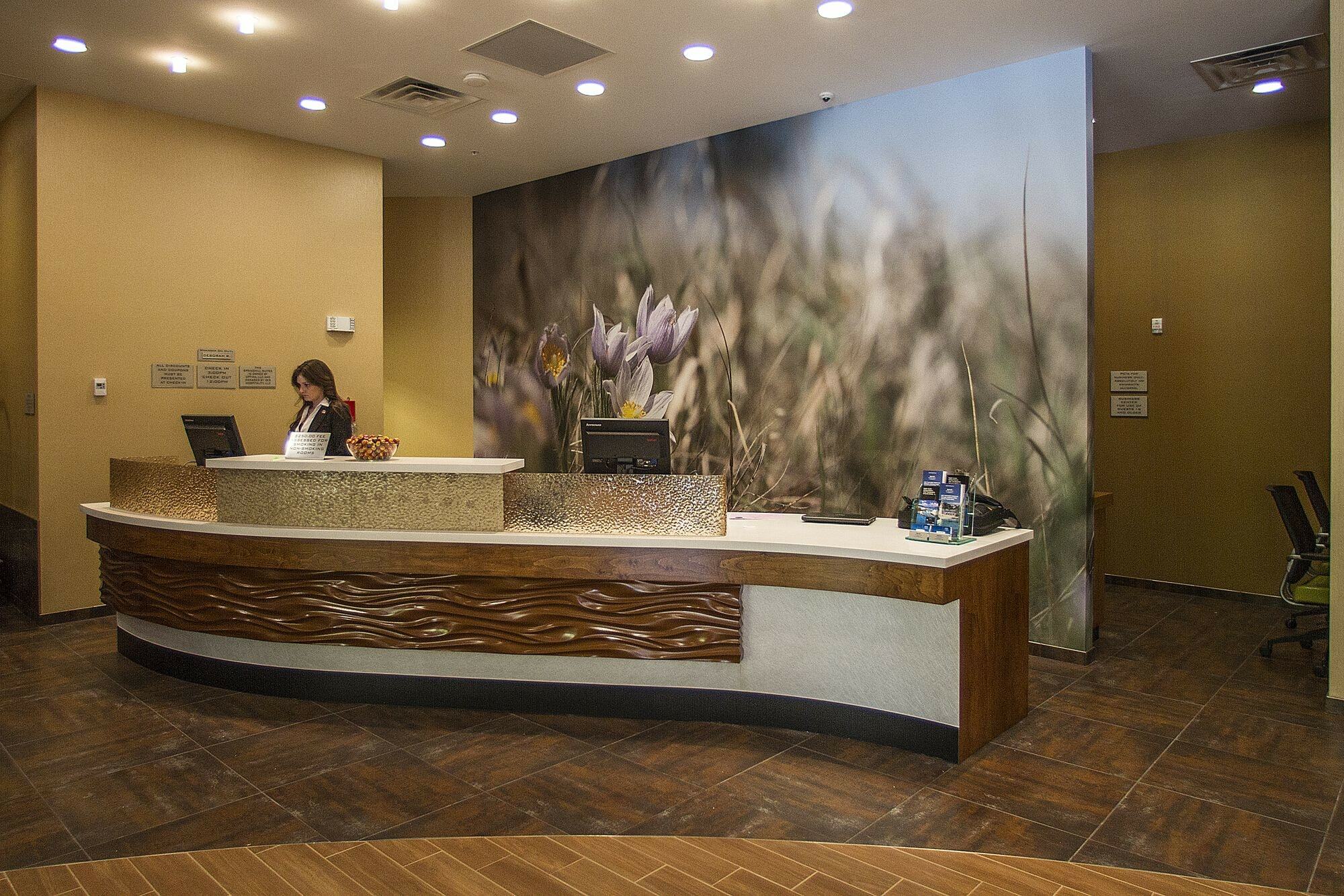 戴德伍德万豪春季山丘套房酒店 外观 照片